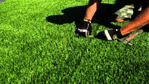 Delve Deeper into Information About Artificial Grass